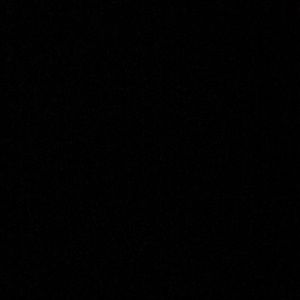 Meet your Posher, Bernard